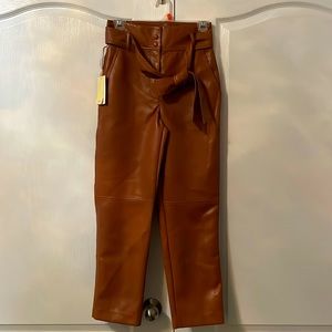 Aritzia/Wilfred leather pant